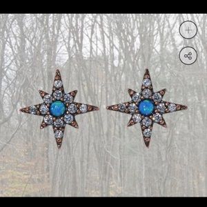 NWOT TAYLOR SWIFT “OPAL EYES” EARRINGS